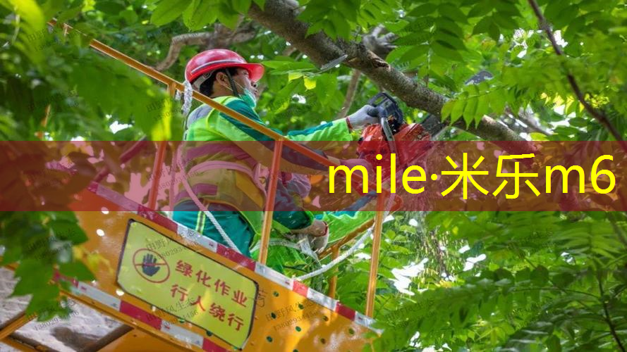 网球拍有没有上万的