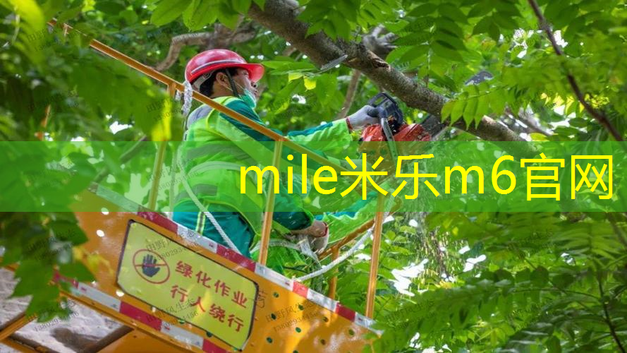 mile米乐m6官网：网球拍手胶定制价格多少