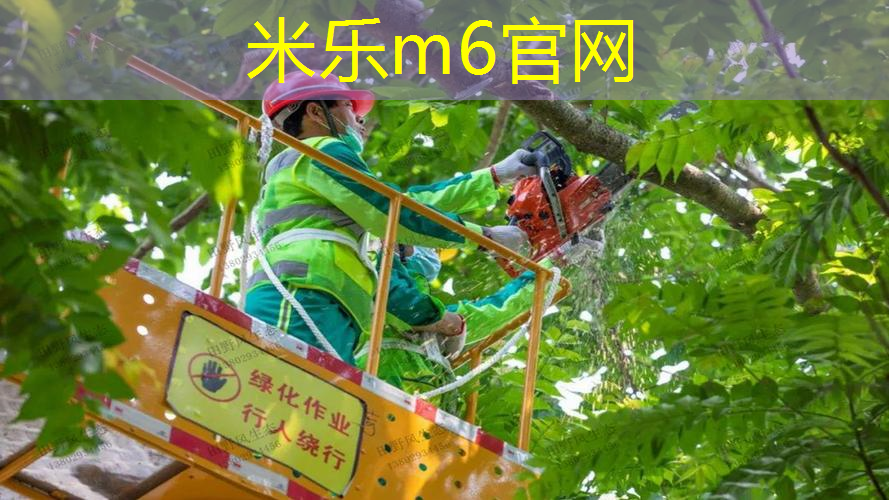 米乐m6官网：让孩子与自然亲近，儿童户外游乐设施为你答疑解惑！