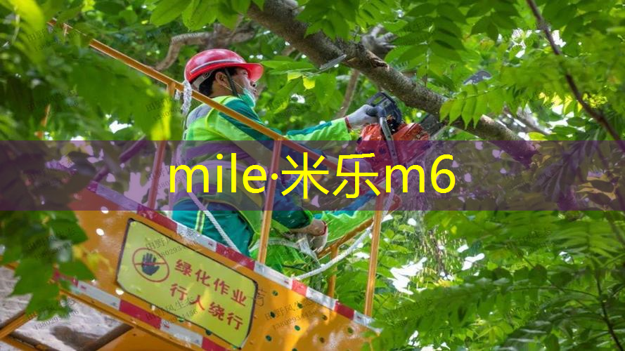 米乐m6官网登录入口：刷新运动感官体验！塑胶跑道彩色路面施工引领运动趋势