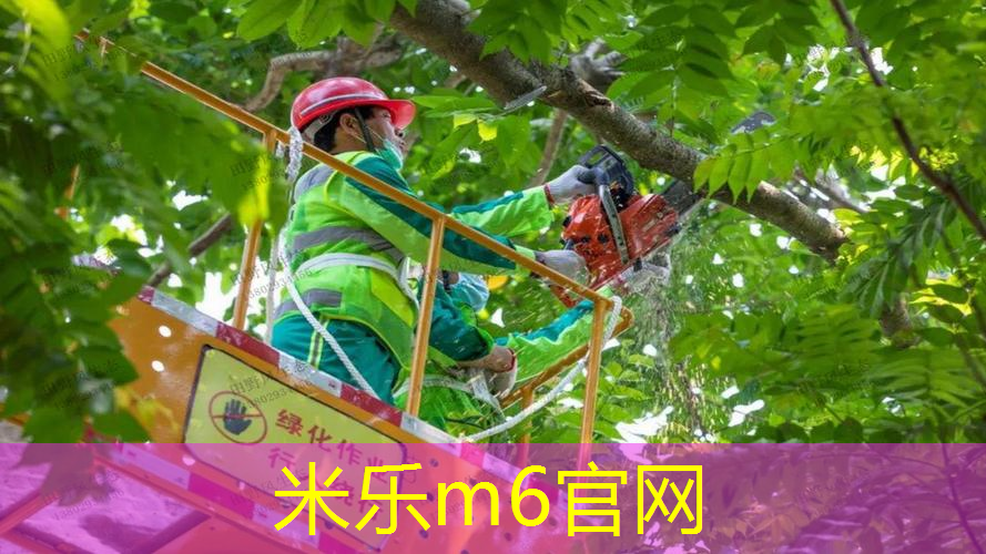 杰森斯坦森室内健身方法