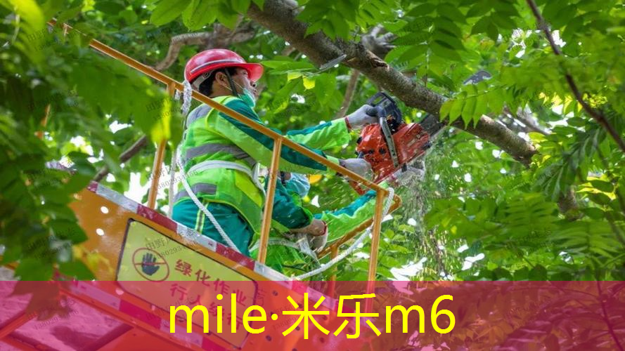 mile米乐m6官网：乒乓球台编码
