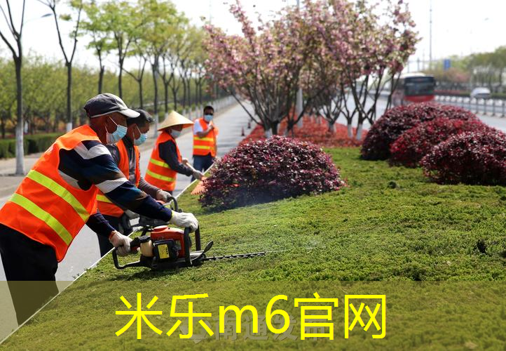 乒乓球台中间的是什么
