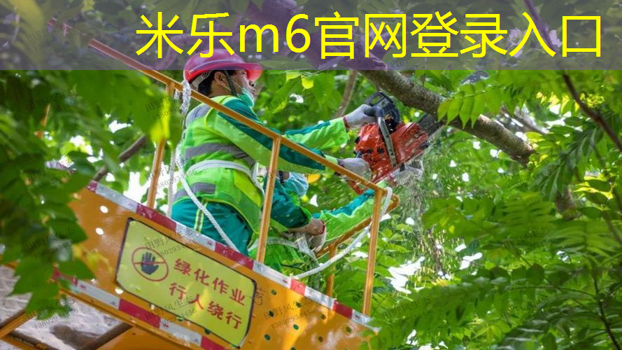 室内蹦极健身汕头