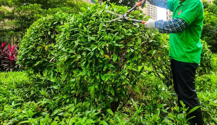 提升身体灵活性的终极方式：尝试健身双杠举手转体吧！
