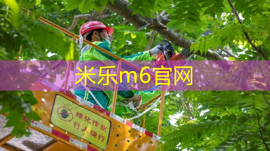 刷新运动感官体验！塑胶跑道彩色路面施工引领运动趋势