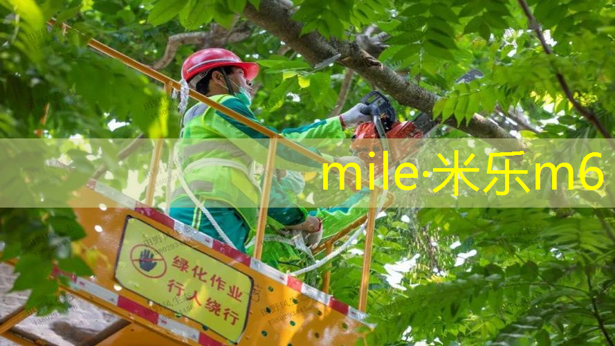 杰森斯坦森室内健身方法
