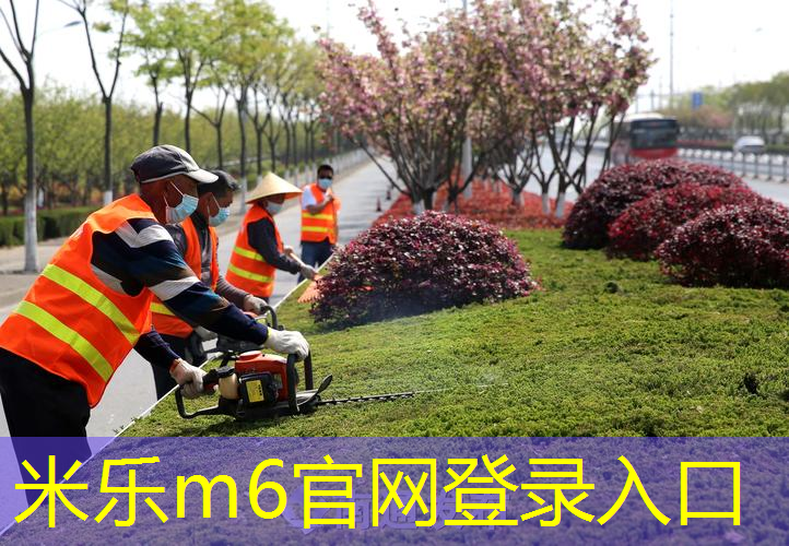 庞伯特乒乓球台如何