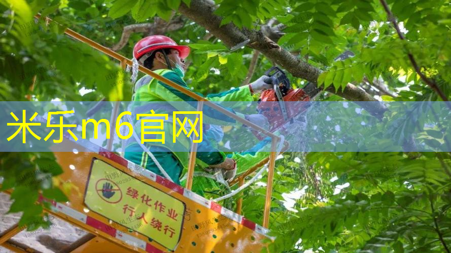 乒乓球台编码