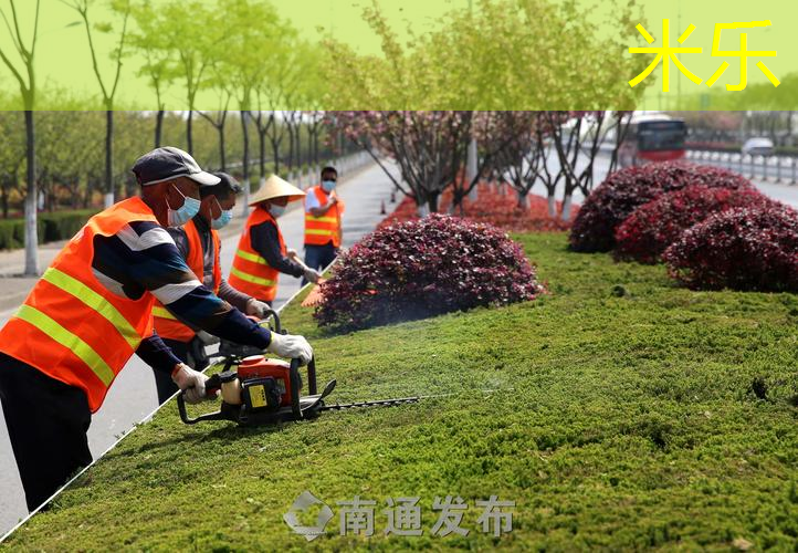 乒乓球台中间的是什么