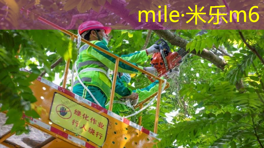 室内蹦极健身汕头
